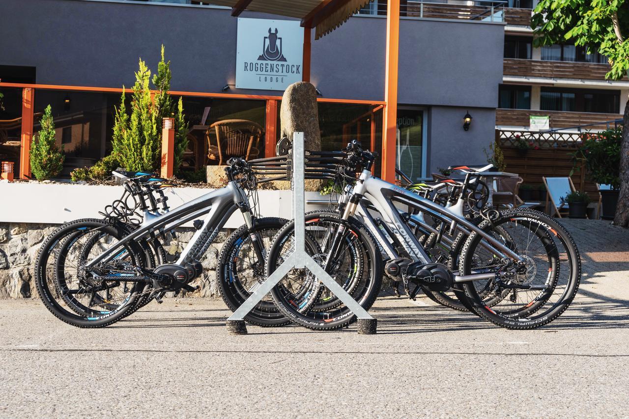 Roggenstock Lodge Oberiberg エクステリア 写真